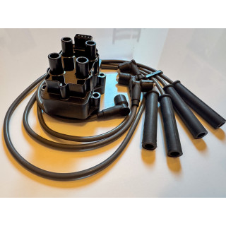 Kit complet allumage déporté BAE04